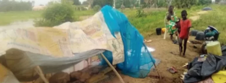 Over 275 lives lost, more than 50 000 affected as severe floods hit Adamawa, Nigeria