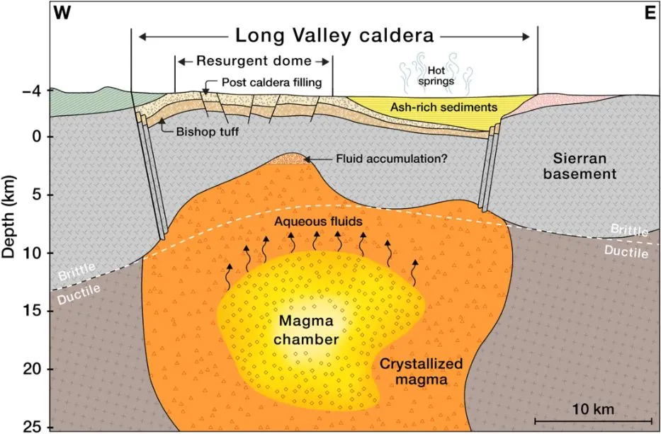 Schematic model of the Long Valley magmatic system interpreted from the tomographic sections