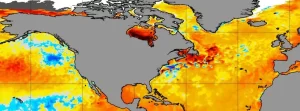 Strongest marine heat wave in 40 years off Canada’s East Coast