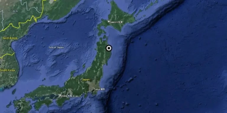 Massive fish die-off in northern Japan prompts environmental concerns and investigation