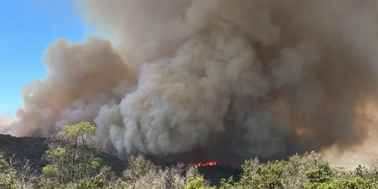 Valparaiso and O'Higgins under red alert due to wildfires, Chile