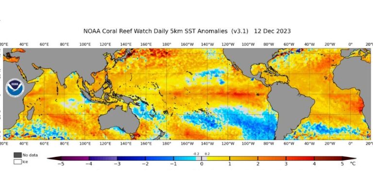 daily 5km sst anomalies december 12 2023