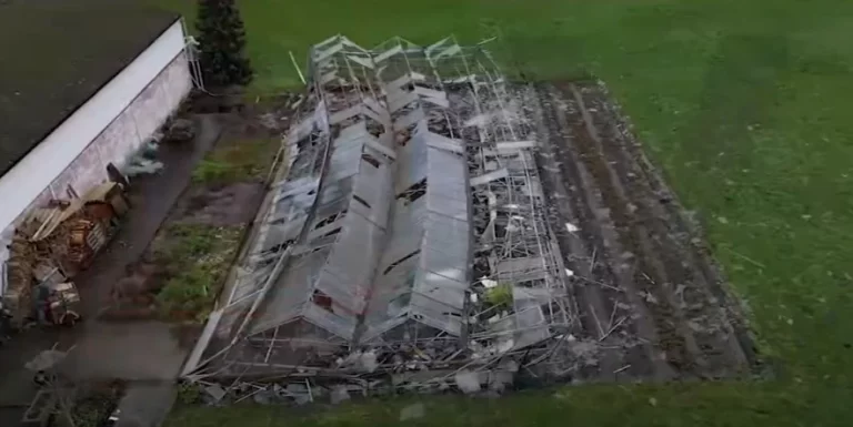 Tornado hits Sint-Katelijne-Waver in Belgium, causing severe damage to local growers