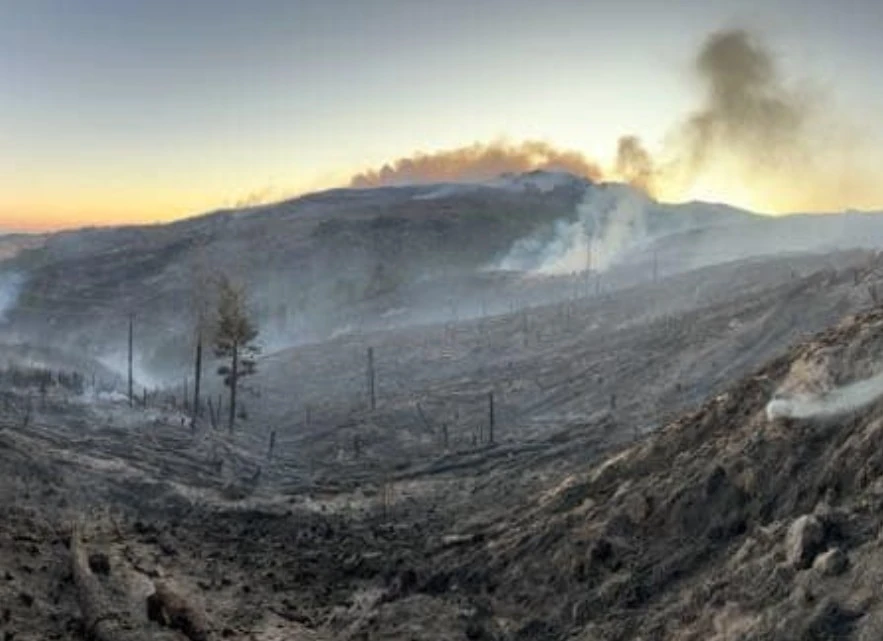 Major wildfire in Christchurch's Port Hills, state of emergency declared, New Zealand a