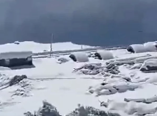 Massive avalanche hits Jammu and Kashmir's Sonamarg