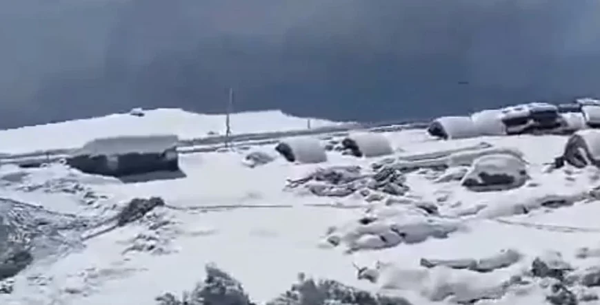 Massive avalanche hits Jammu and Kashmir's Sonamarg