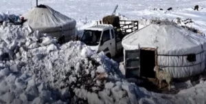 Largest winter snowfall since 1975 and severe cold leave nearly 668 000 livestock dead in Mongolia