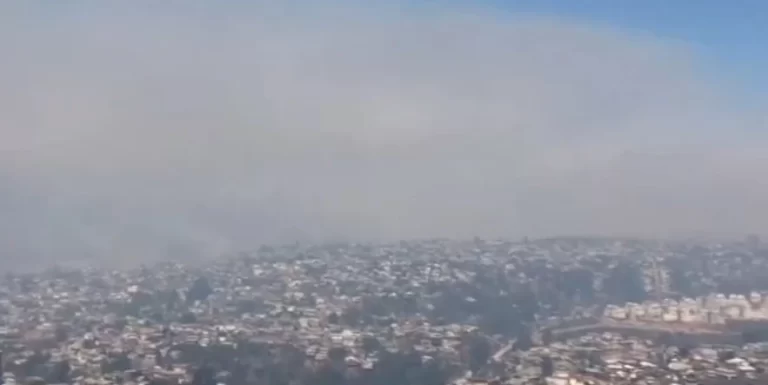 chile wildfires february 2024
