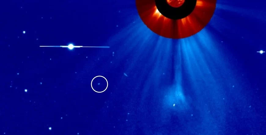 Comet disintegrates as it plunges into the Sun