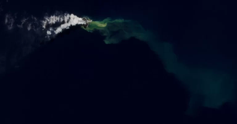 satellite image home reef volcano june 15 2024 sentinel-2 f