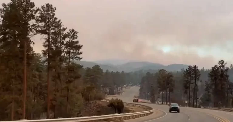 south fork fire new mexico june 2024