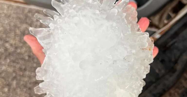 vigo park texas hail stone by val and amy castor june 2 2024