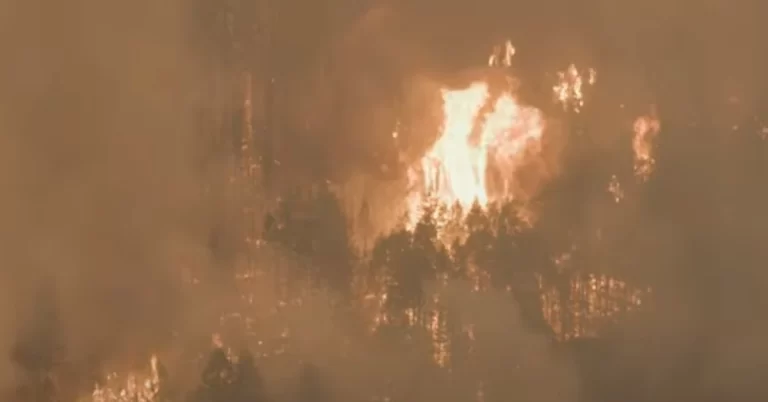 California's fifth-largest fire leaves a trail of destruction, destroying 277 structures
