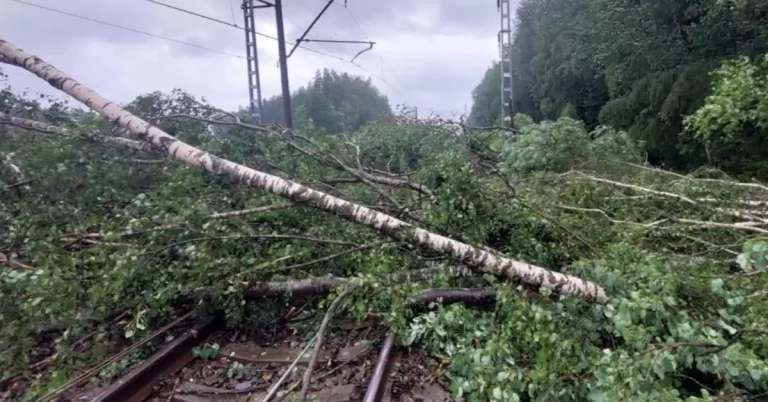 Severe storm hits Latvia, record rainfall and extensive damage reported july 2024