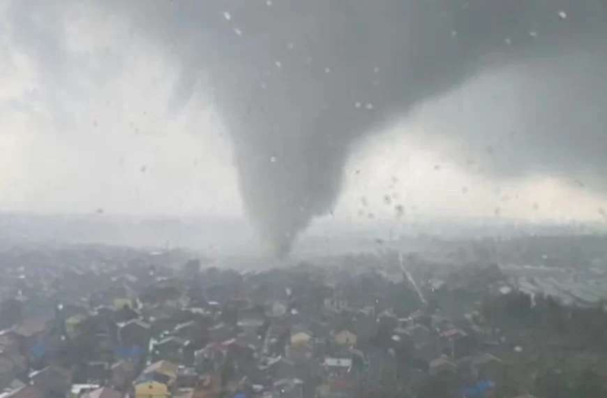 Violent tornados rip through east China's Shangdong, damaging 2 800 homes and leaving at least 5 dead