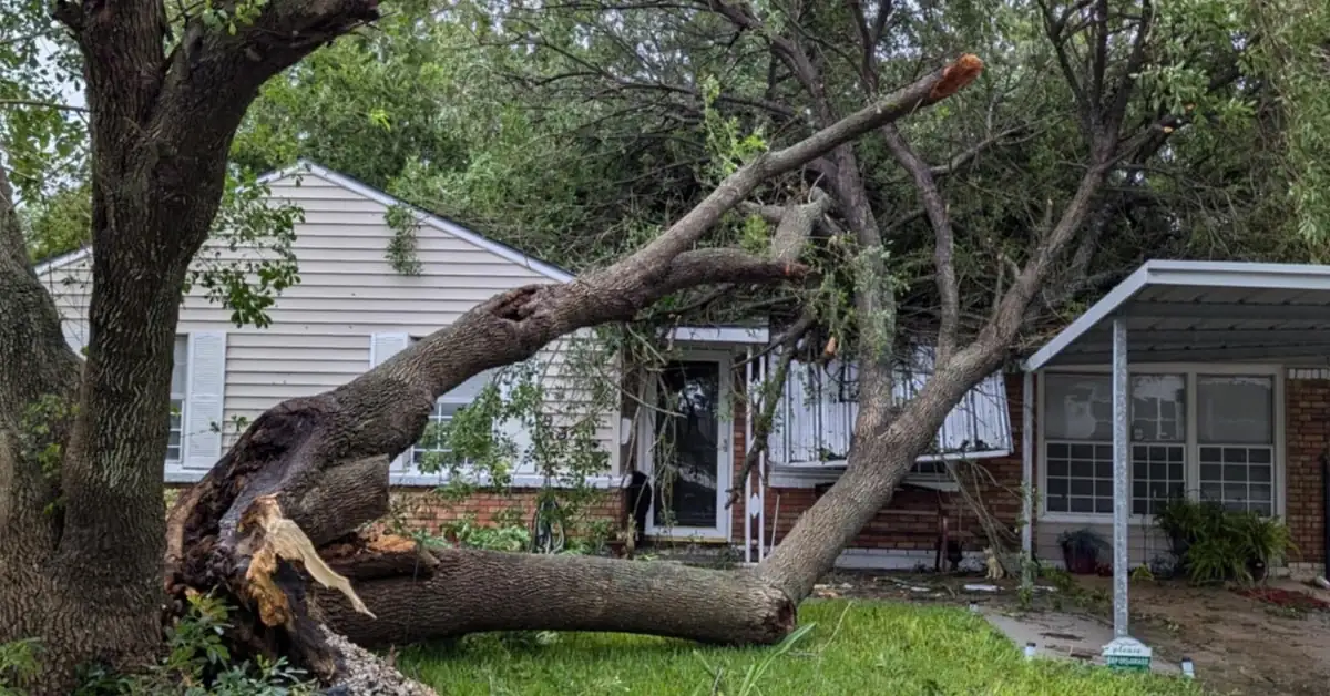 hurricane beryl damage july 2024