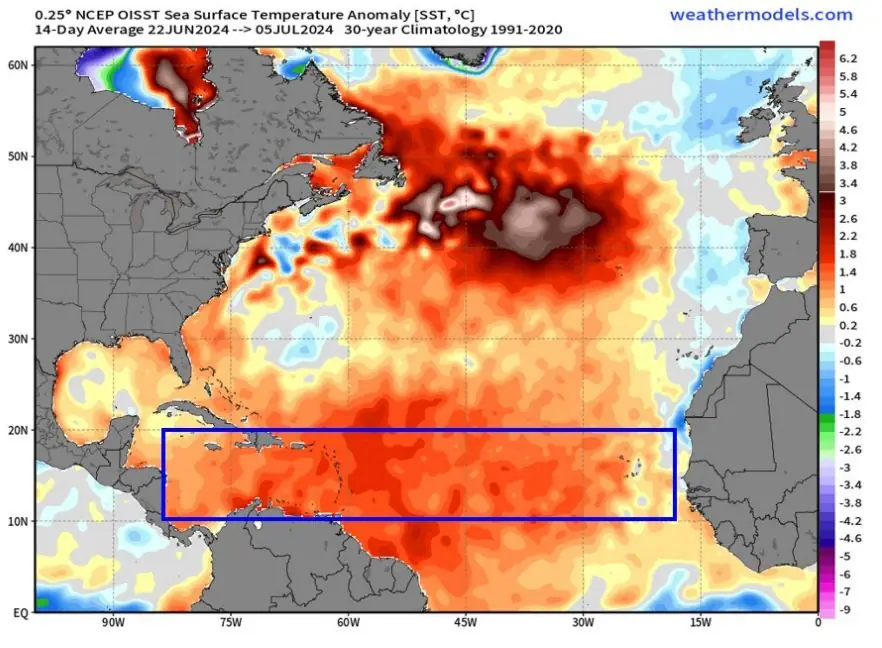 late june early july 2024 north atlantic SST anomalies