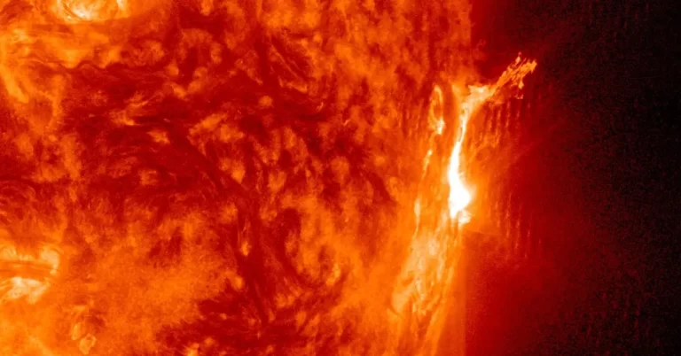 x1.9 solar flare july 16 2024 sdo aia 301 f