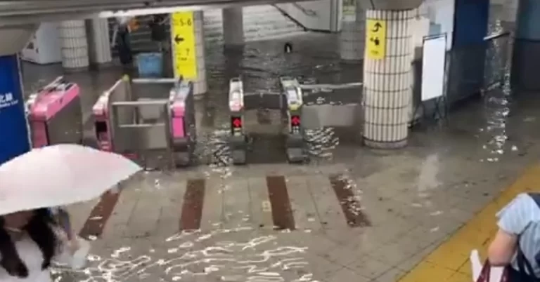 100 mm (3.9 inches) of rain in one hour floods Tokyo, Japan august 22 2024