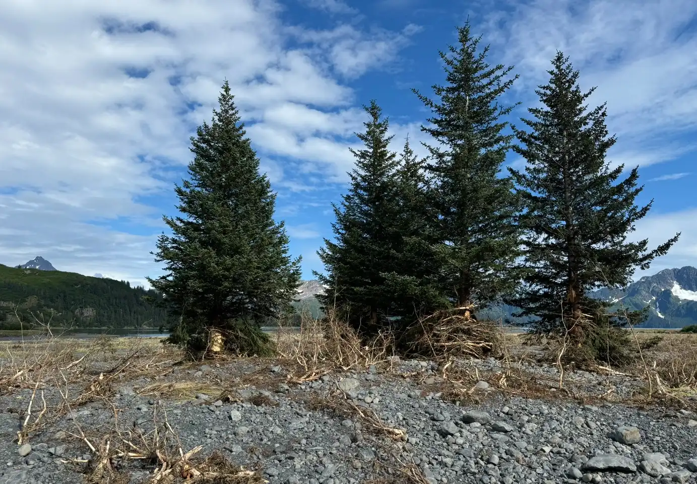 August 2024 Pedersen Lagoon Landslide photo 6