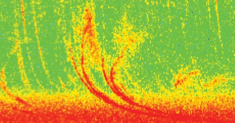 Discovery of electromagnetic wave reveals new phenomenon affecting Earth's radiation belts