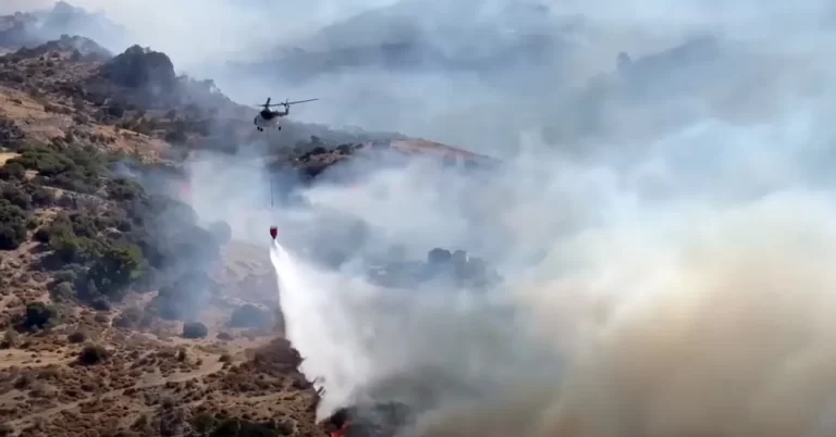 Major forest fire in Izmir, Turkey forces evacuations as flames threaten residential areas august 2024