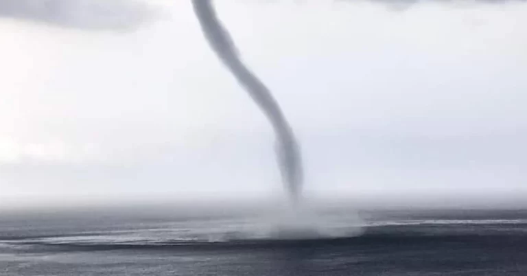 Waterspout outbreak off the coast of northern Italy and Sardinia august 2024