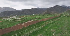 Desert turns green in China after Ningxia sees 5 times the average rainfall in August 2024