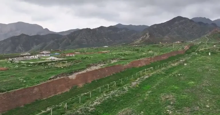 Desert turns green in China after Ningxia sees 5 times the average rainfall in August 2024