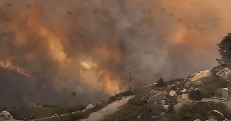 Line Fire scorches over 14 000 ha (34 000 acres), thousands evacuated in San Bernardino County, California, U.S. september 2024
