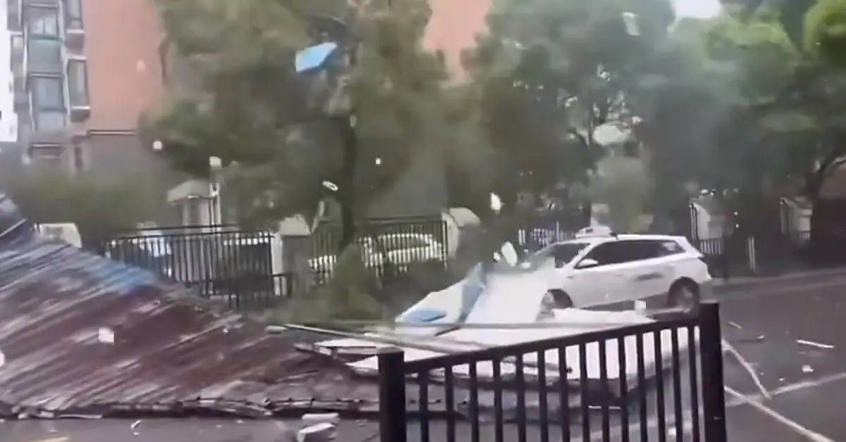 Typhoon Bebinca makes landfall in Shanghai as strongest to hit the city since 1949, China