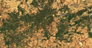 Satellite image of Tanout region, Niger on September 13, 2024.