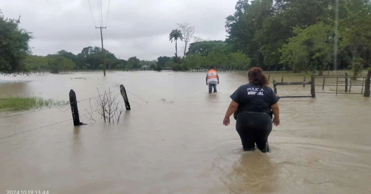 Officials wading through flooded streets to asses damages in the Nuevo San Carlos ejido.