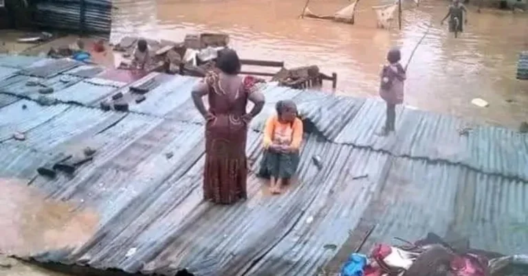 People taking shelter on roofs amidst Kinshasa floods.
