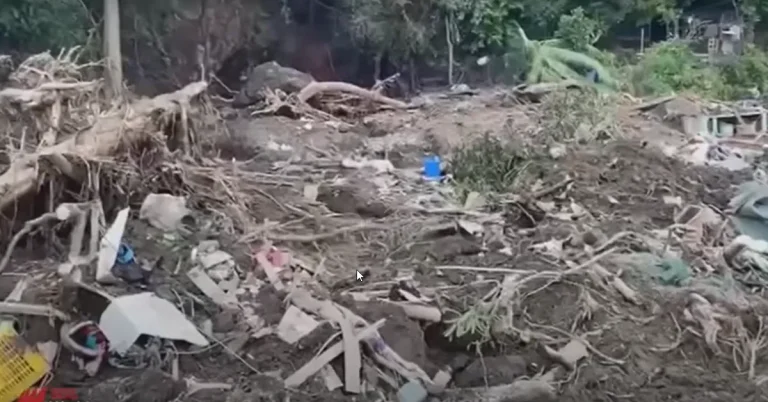Destruction caused by storm "Trami".