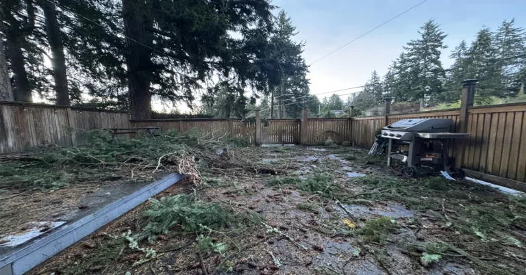 Fallen power line in Seattle due to the impact of Bomb Cyclone on Tuesday November 19 2024