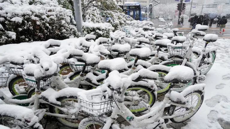 Snow cover in Seoul after a snowstorm