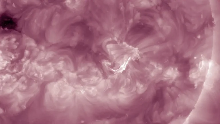 sdo aia 211 2044 utc november 25 2024 f