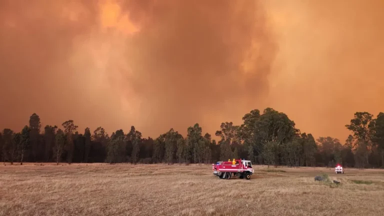 Bushfire near grampians