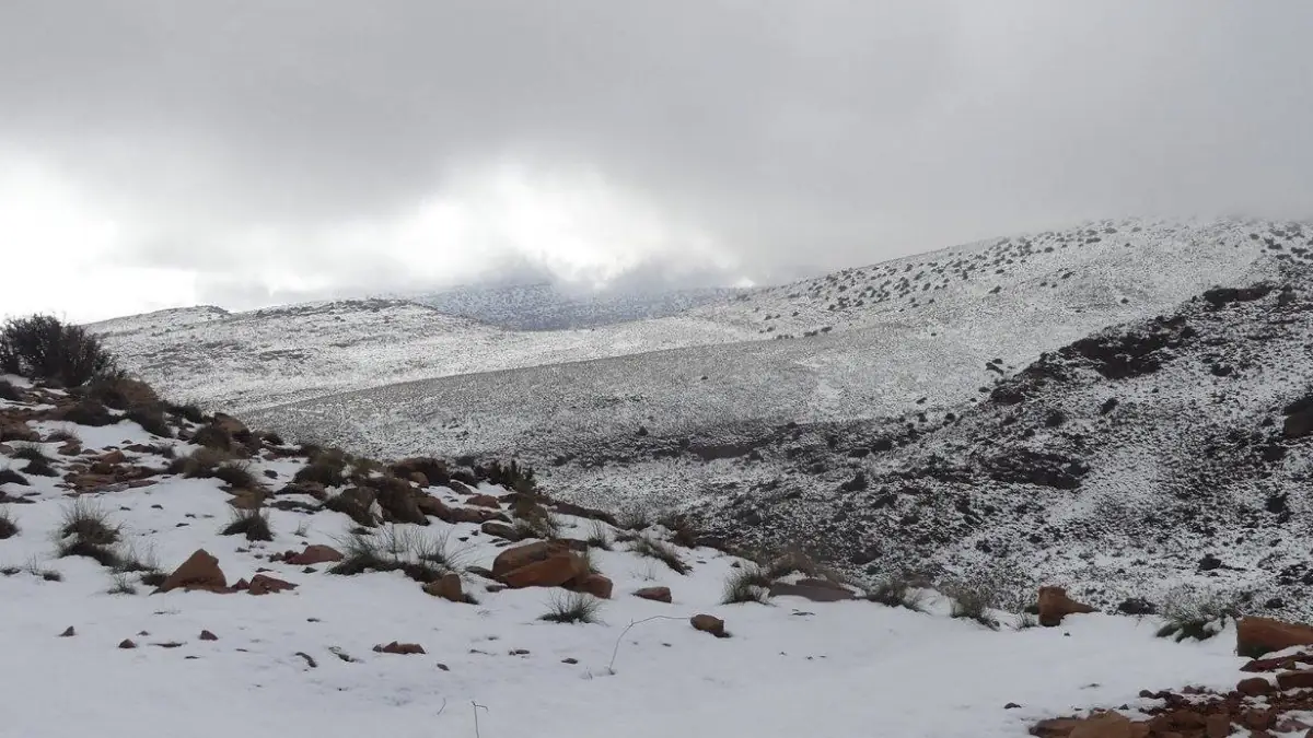 Gateway to the Sahara covered in snow for the second time in two years, Algeria january 2025