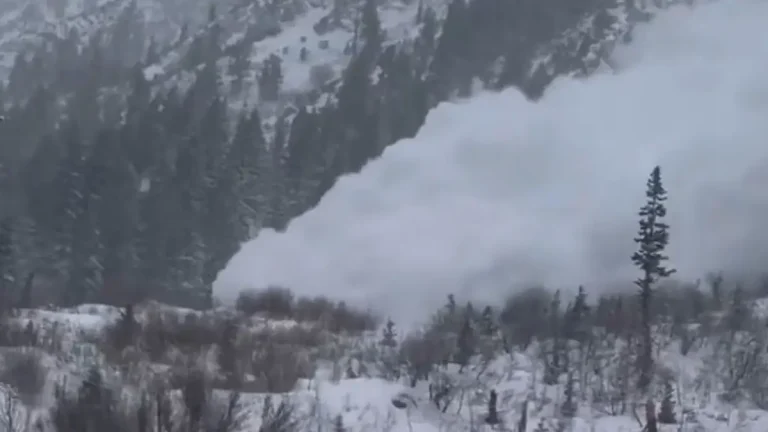 Large avalanche hits Utah highway, forcing closure