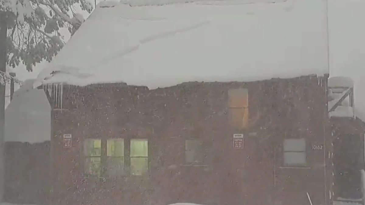Snowfall in South California