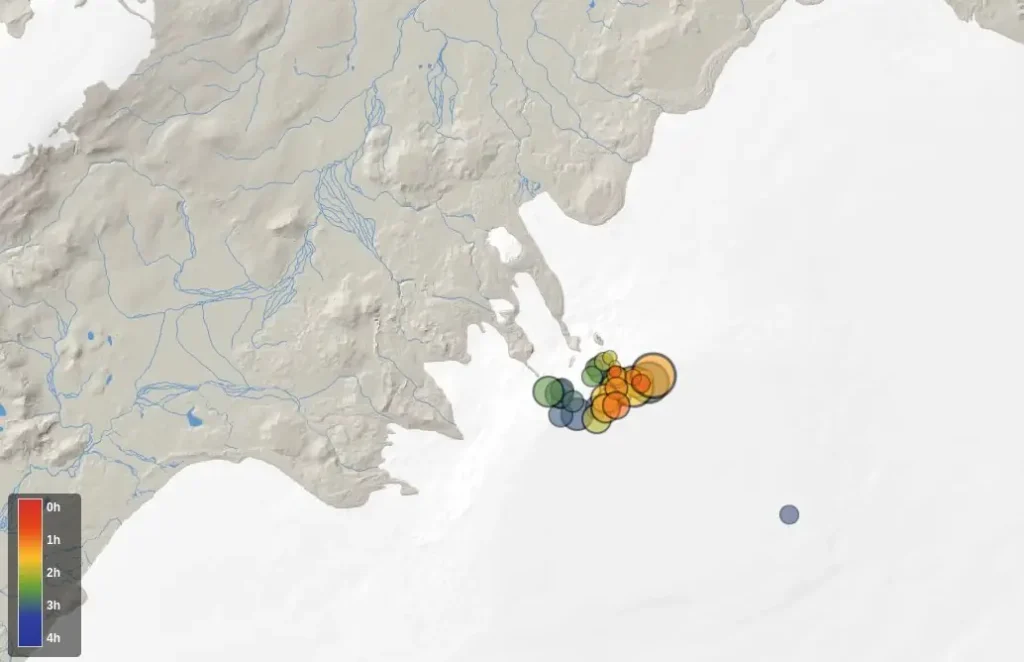 bardarbunga earthquake swarm january 14 2025 imo
