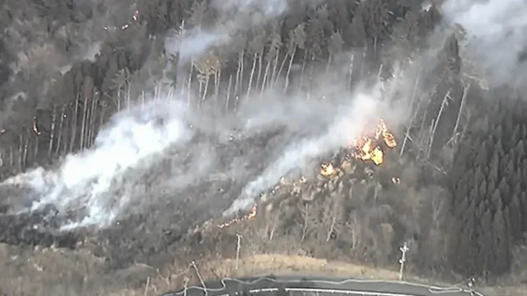 A mountain fire spreads in Rikuzentakata, Iwate Prefecture, on February 25, 2025