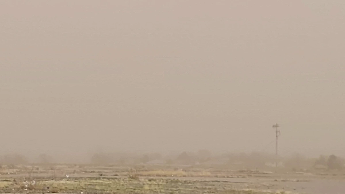 Brown Out conditions near Chaves County on Monday, march 3, 2025