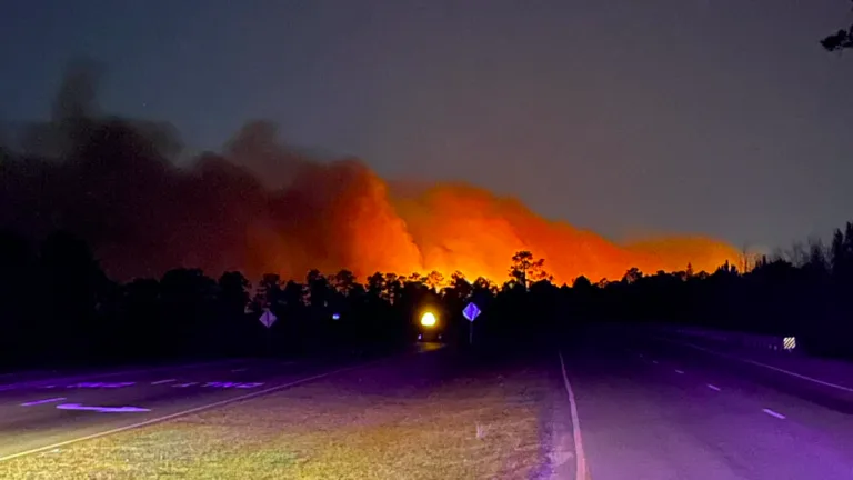Wildfire near Carolina Forest