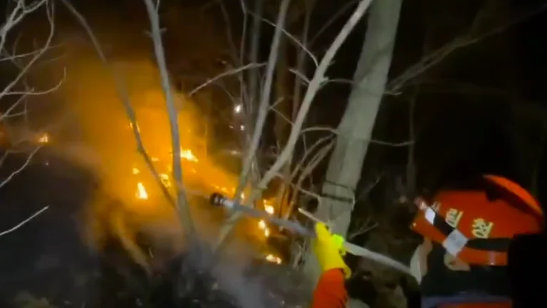 Fire Fighter suppressing a fire in South Korea on March 28, 2025
