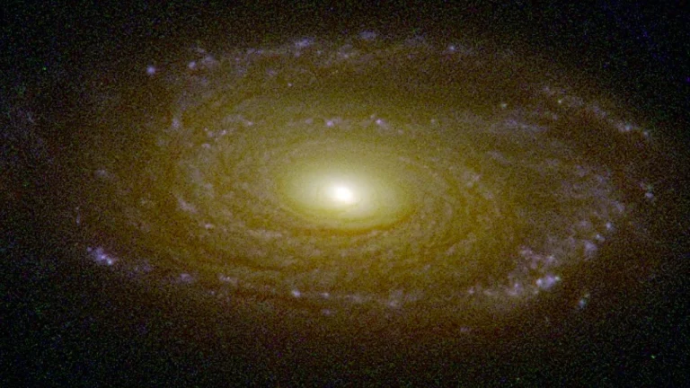 A tricolour image of J2345−0449, constructed using the HST WFC3 UVIS (F438WB-band and F814WI-band) and IR channel (F160WH-band) filter images. The component images have been superposed with individual intensities adjusted to obtain a natural colour balance. Dark, winding dust lanes and compact, star forming regions are visible in the outer parts of the galaxy disc. Image size is arcsec and north is up and east is to the left. Image credit: Unveiling the bulge–disc structure, AGN feedback, and baryon landscape in a massive spiral galaxy with Mpc-scale radio jet