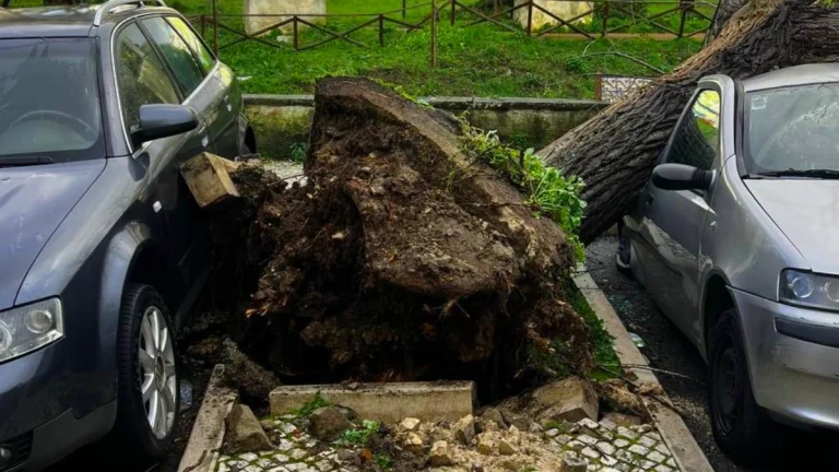 Uprooted tree damages a car in Lisbon due to the impact of Storm Martinho
