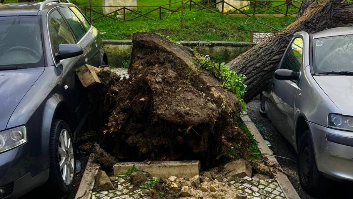 Uprooted tree damages a car in Lisbon due to the impact of Storm Martinho